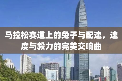 马拉松赛道上的兔子与配速，速度与毅力的完美交响曲