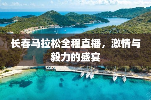 长春马拉松全程直播，激情与毅力的盛宴
