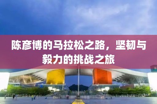 陈彦博的马拉松之路，坚韧与毅力的挑战之旅
