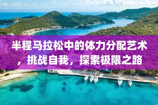 半程马拉松中的体力分配艺术，挑战自我，探索极限之路