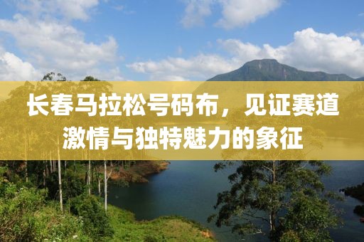 长春马拉松号码布，见证赛道激情与独特魅力的象征
