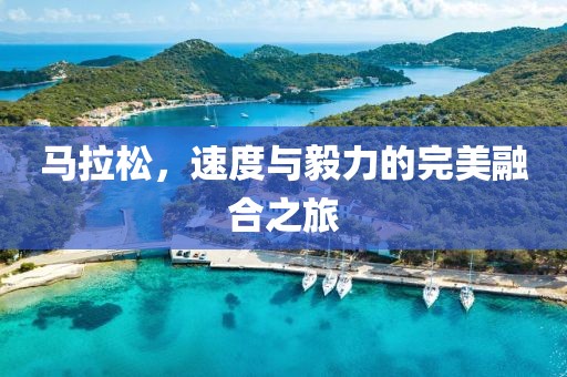 马拉松，速度与毅力的完美融合之旅