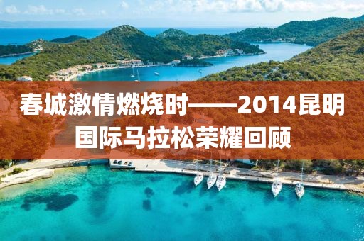春城激情燃烧时——2014昆明国际马拉松荣耀回顾
