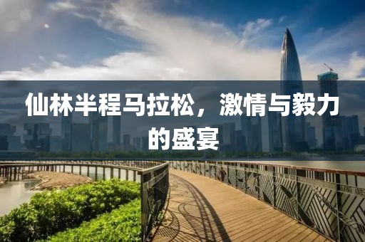 仙林半程马拉松，激情与毅力的盛宴