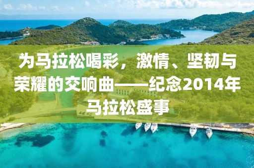 为马拉松喝彩，激情、坚韧与荣耀的交响曲——纪念2014年马拉松盛事
