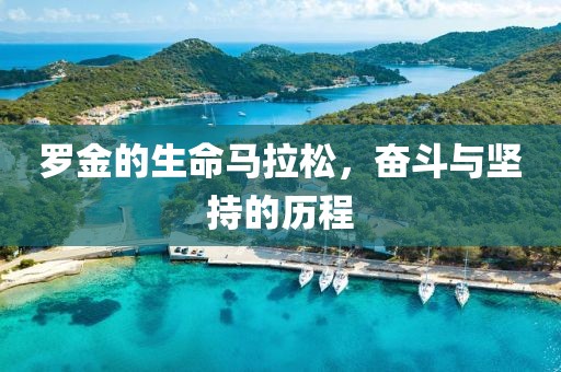 罗金的生命马拉松，奋斗与坚持的历程