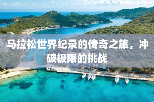 马拉松世界纪录的传奇之旅，冲破极限的挑战