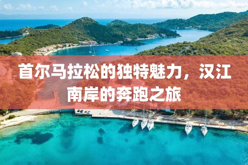 首尔马拉松的独特魅力，汉江南岸的奔跑之旅