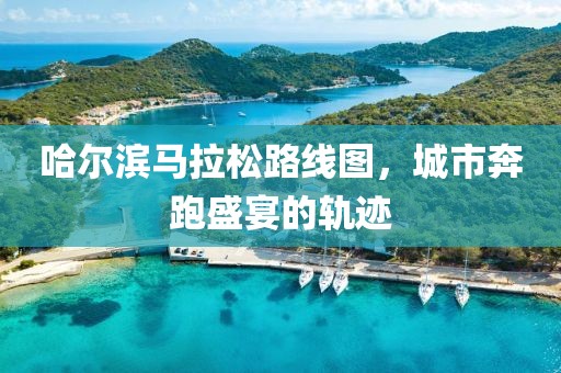 哈尔滨马拉松路线图，城市奔跑盛宴的轨迹