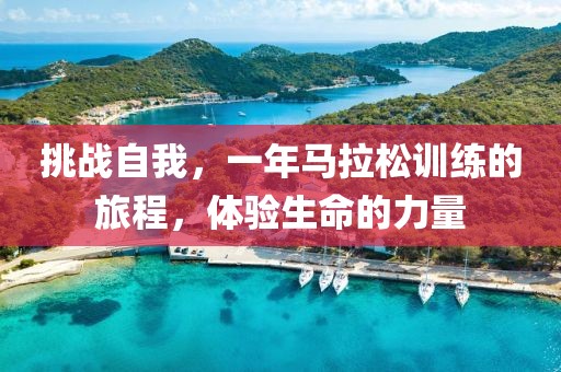 挑战自我，一年马拉松训练的旅程，体验生命的力量