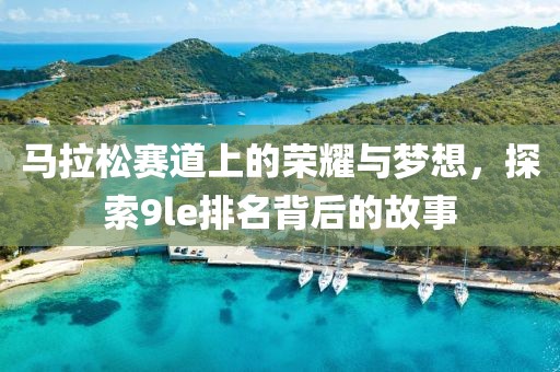 马拉松赛道上的荣耀与梦想，探索9le排名背后的故事