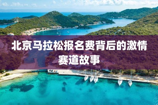 北京马拉松报名费背后的激情赛道故事