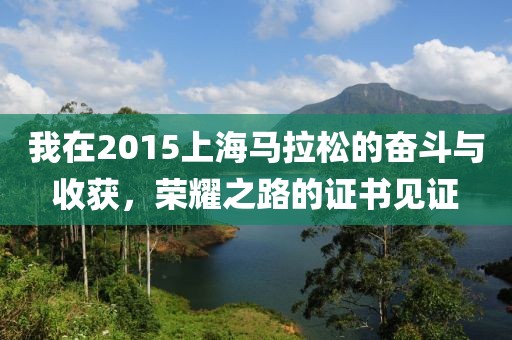 我在2015上海马拉松的奋斗与收获，荣耀之路的证书见证