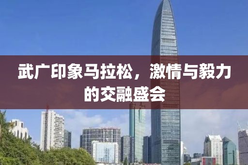 武广印象马拉松，激情与毅力的交融盛会