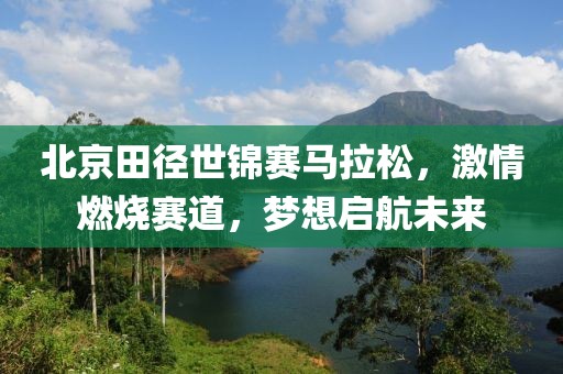 北京田径世锦赛马拉松，激情燃烧赛道，梦想启航未来
