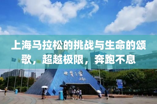 上海马拉松的挑战与生命的颂歌，超越极限，奔跑不息