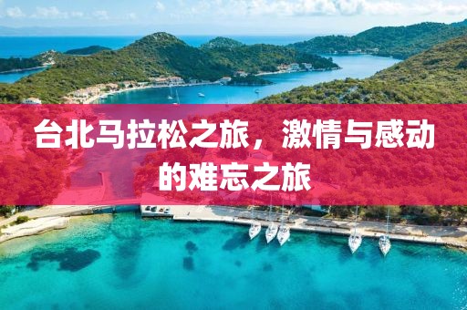 台北马拉松之旅，激情与感动的难忘之旅