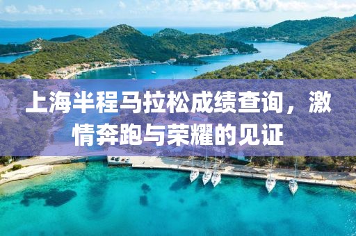 上海半程马拉松成绩查询，激情奔跑与荣耀的见证