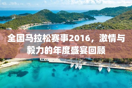 全国马拉松赛事2016，激情与毅力的年度盛宴回顾