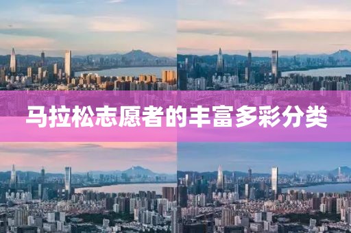 马拉松志愿者的丰富多彩分类