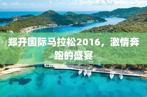 郑开国际马拉松2016，激情奔跑的盛宴