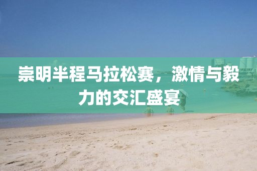崇明半程马拉松赛，激情与毅力的交汇盛宴