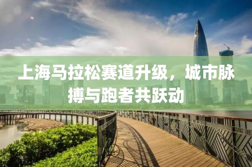 上海马拉松赛道升级，城市脉搏与跑者共跃动