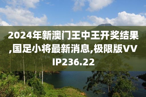 2024年新澳门王中王开奖结果,国足小将最新消息,极限版VVIP236.22