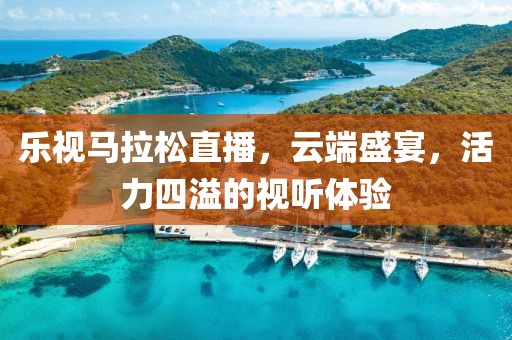乐视马拉松直播，云端盛宴，活力四溢的视听体验