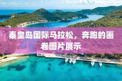 秦皇岛国际马拉松，奔跑的画卷图片展示