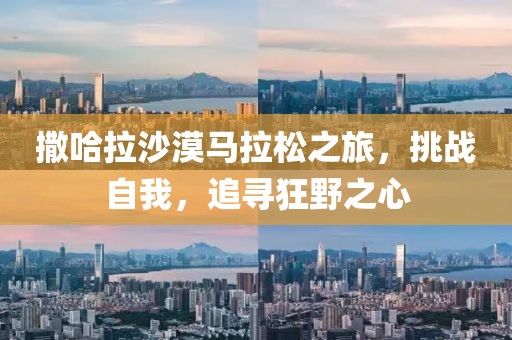 撒哈拉沙漠马拉松之旅，挑战自我，追寻狂野之心