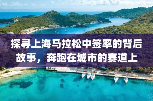探寻上海马拉松中签率的背后故事，奔跑在城市的赛道上
