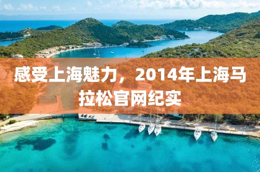 感受上海魅力，2014年上海马拉松官网纪实