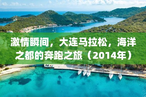 激情瞬间，大连马拉松，海洋之都的奔跑之旅（2014年）