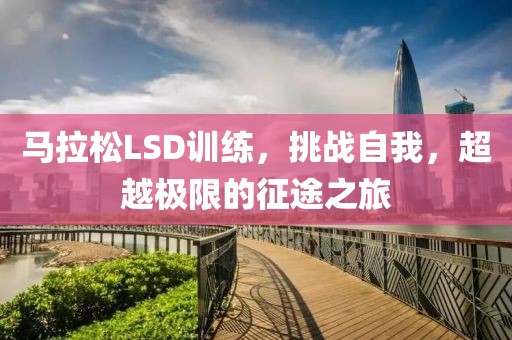 马拉松LSD训练，挑战自我，超越极限的征途之旅