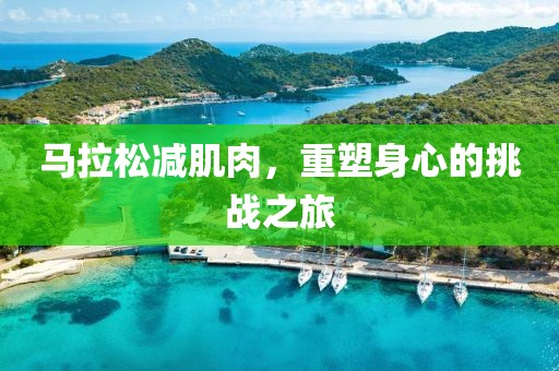 马拉松减肌肉，重塑身心的挑战之旅