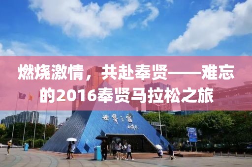燃烧激情，共赴奉贤——难忘的2016奉贤马拉松之旅