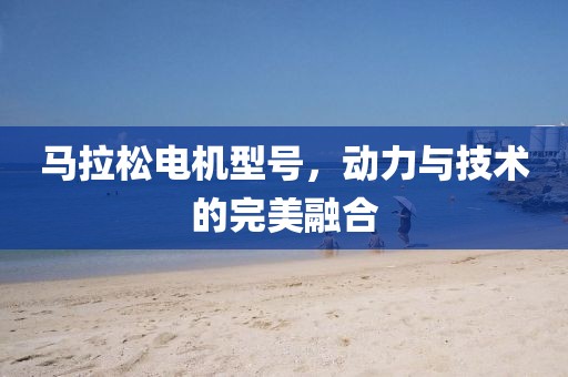 马拉松电机型号，动力与技术的完美融合
