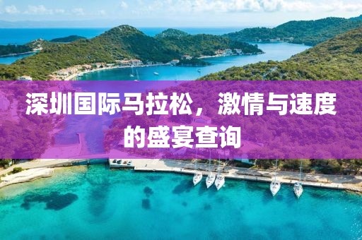 深圳国际马拉松，激情与速度的盛宴查询