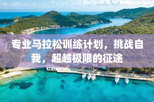 专业马拉松训练计划，挑战自我，超越极限的征途