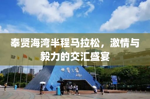 奉贤海湾半程马拉松，激情与毅力的交汇盛宴