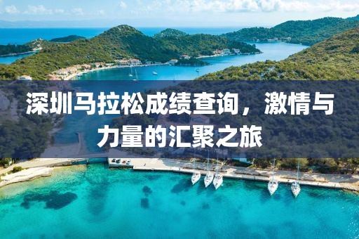 深圳马拉松成绩查询，激情与力量的汇聚之旅