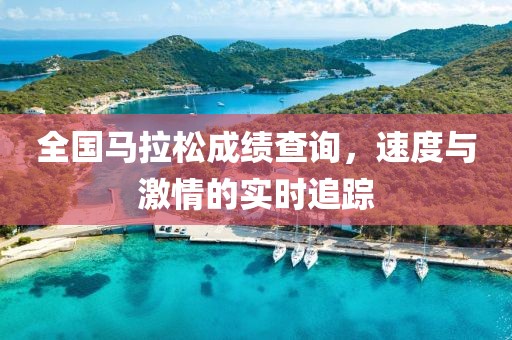 全国马拉松成绩查询，速度与激情的实时追踪
