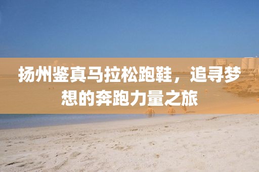 扬州鉴真马拉松跑鞋，追寻梦想的奔跑力量之旅