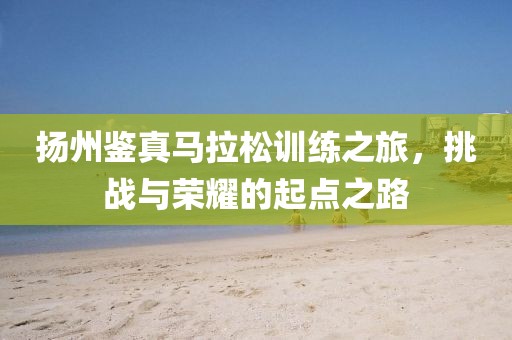扬州鉴真马拉松训练之旅，挑战与荣耀的起点之路