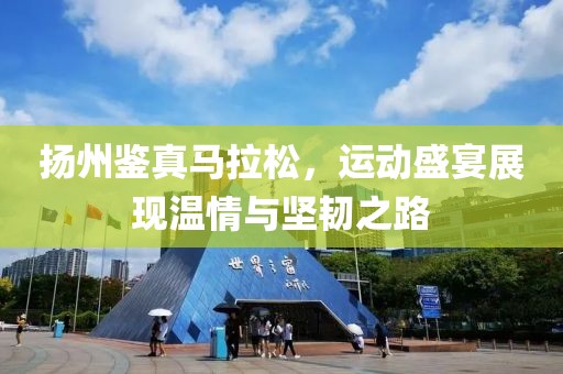 扬州鉴真马拉松，运动盛宴展现温情与坚韧之路