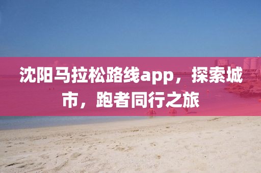 沈阳马拉松路线app，探索城市，跑者同行之旅