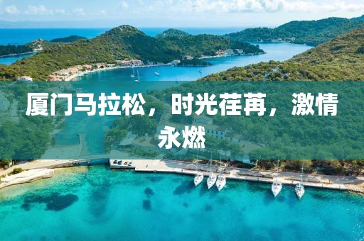 厦门马拉松，时光荏苒，激情永燃