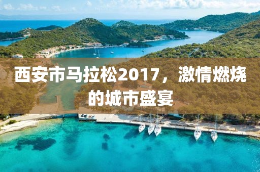 西安市马拉松2017，激情燃烧的城市盛宴