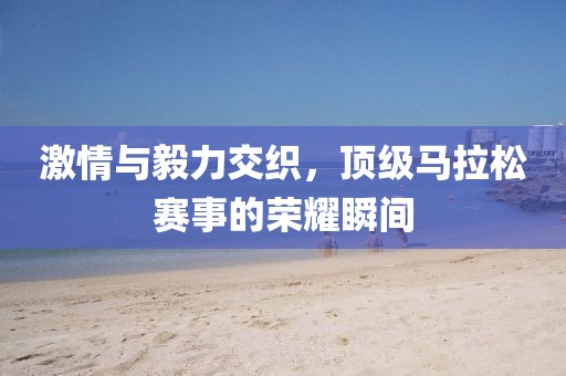 激情与毅力交织，顶级马拉松赛事的荣耀瞬间